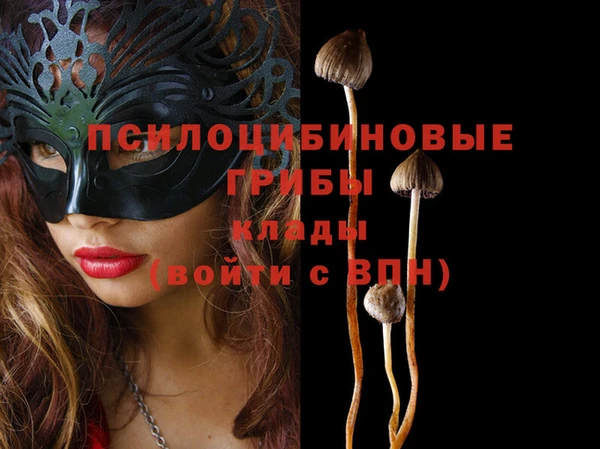 spice Балахна