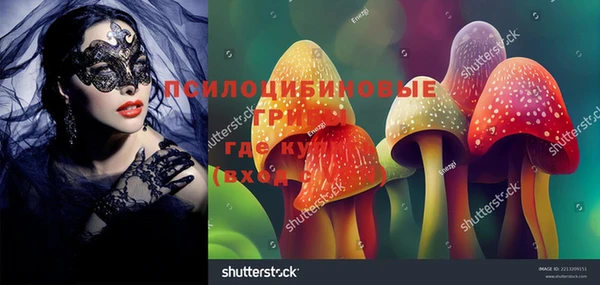 apvp Белоозёрский