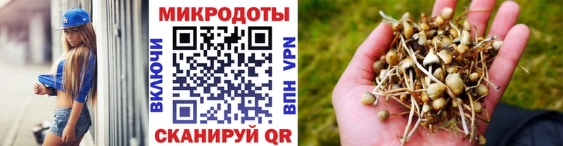 Псилоцибиновые грибы Cubensis  закладка  блэк спрут   Вельск 